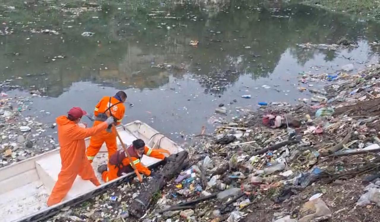 Noticias Álvaro Obregón