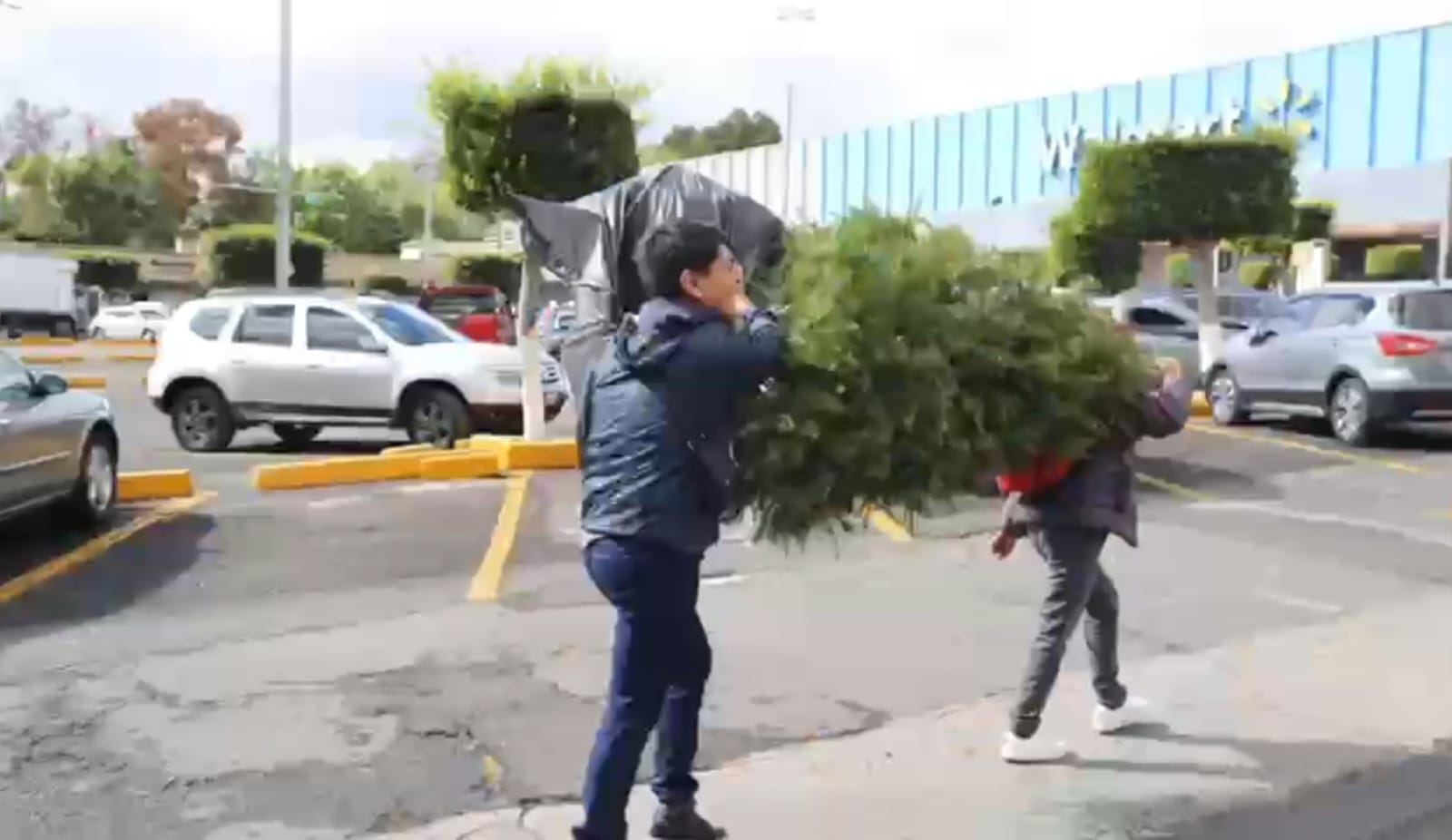 Noticias Álvaro Obregón