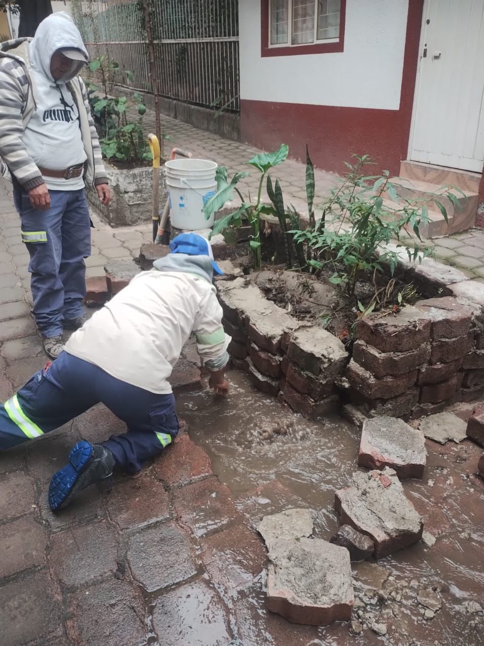 Noticias Álvaro Obregón