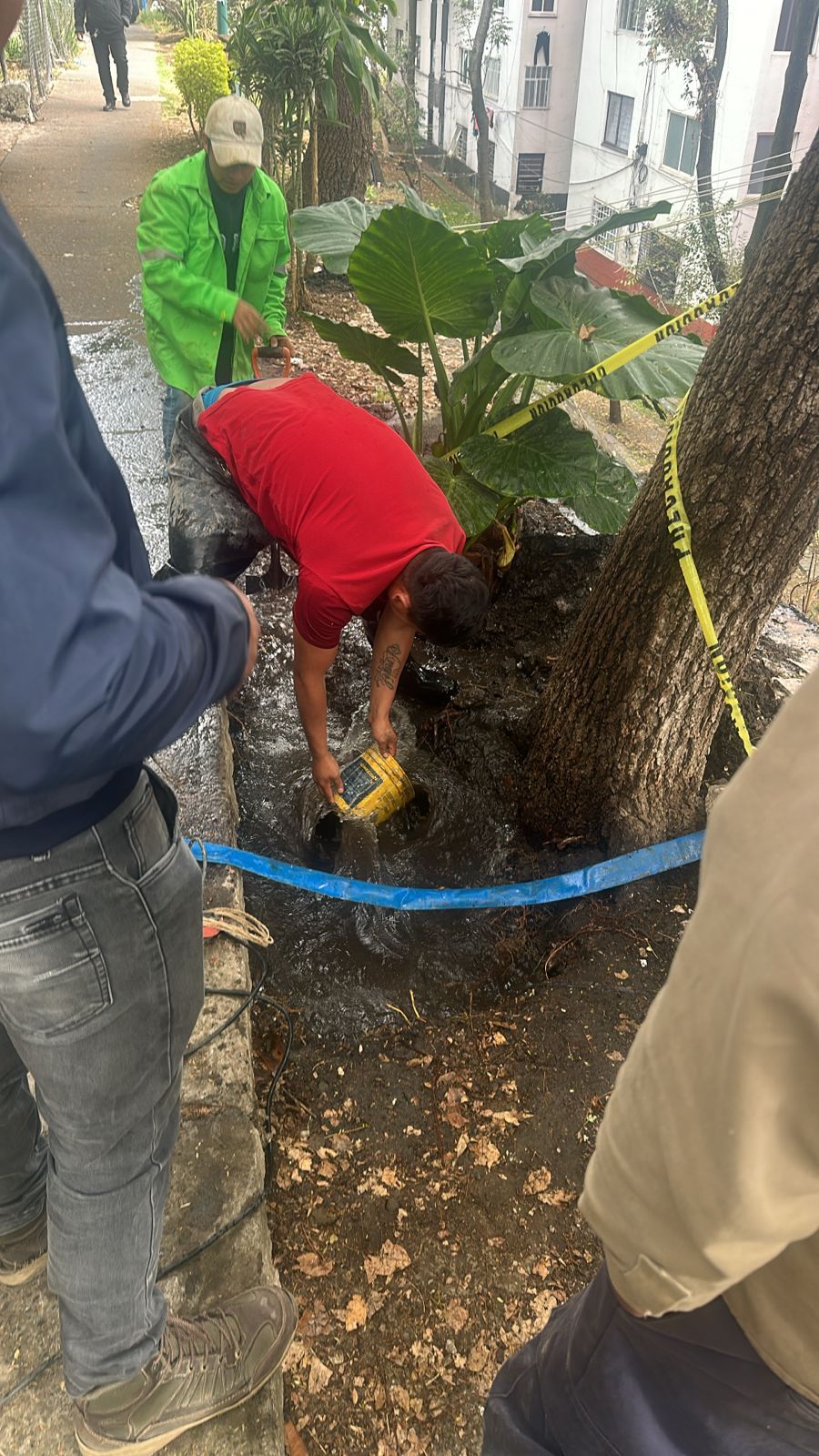 Noticias Álvaro Obregón