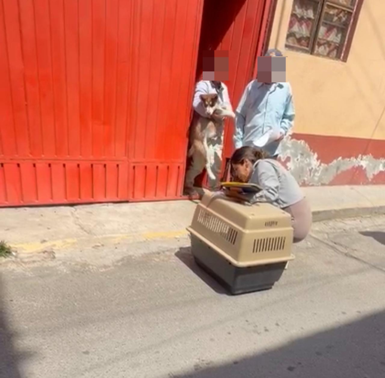 Noticias Álvaro Obregón