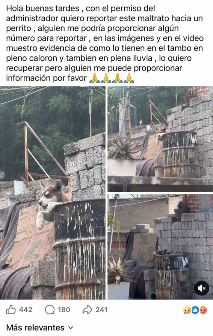 Noticias Álvaro Obregón